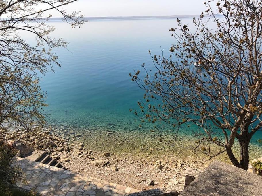 Apartment Lisarica Starigrad Paklenica Exteriér fotografie
